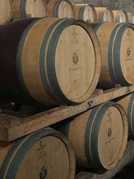Immagine delle cantine toscane